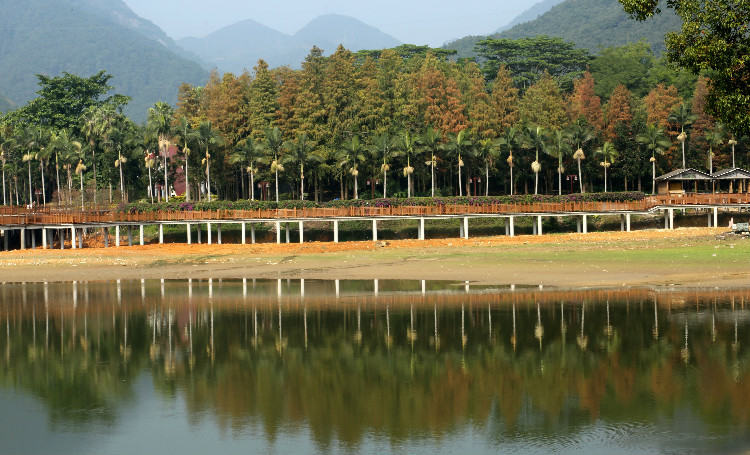 金强助力福州国家森林公园栈道展新颜！