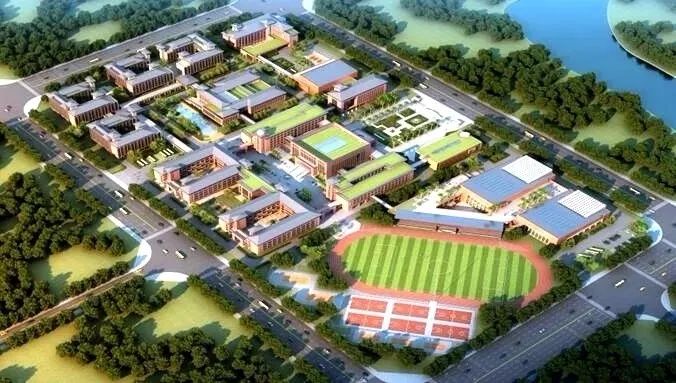 金强助力滨海新区校园建设 为教育事业发展添彩