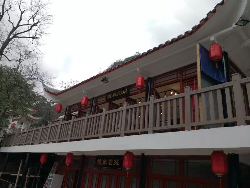 项目回访 | 金强TKK板VS防腐木，贵阳黔灵公园用事实说话！