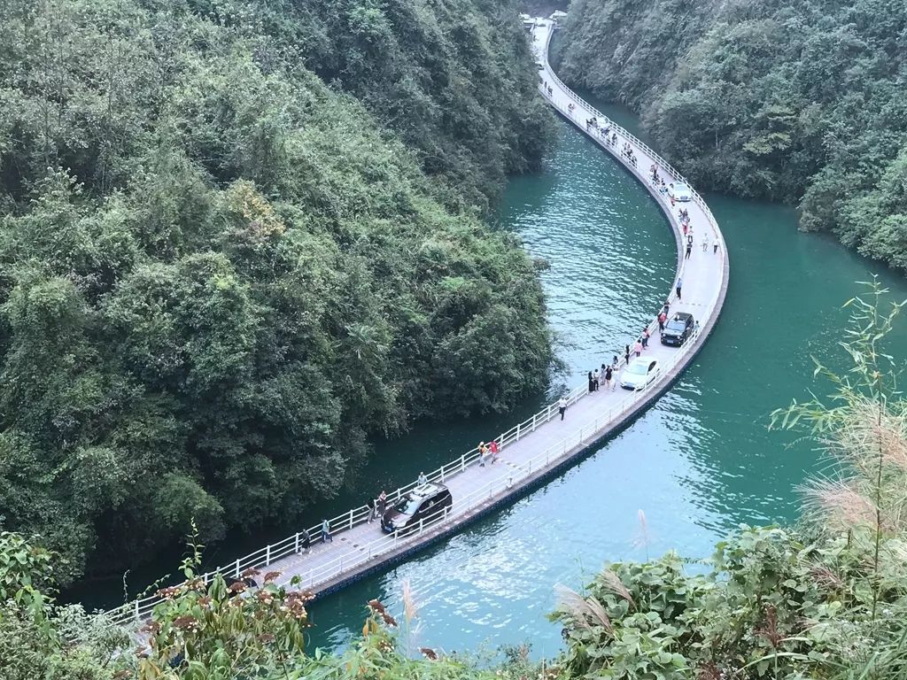 2019金强杯“遇见美好”摄影比赛获奖结果公布！