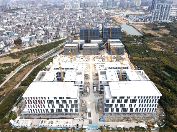 捷报连连，金强科创公园三期两栋楼完成主体结构封顶